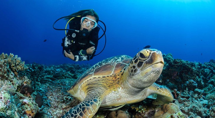 Foto del viaje a Indonesia – Bali, Nusa Penida y Komodo