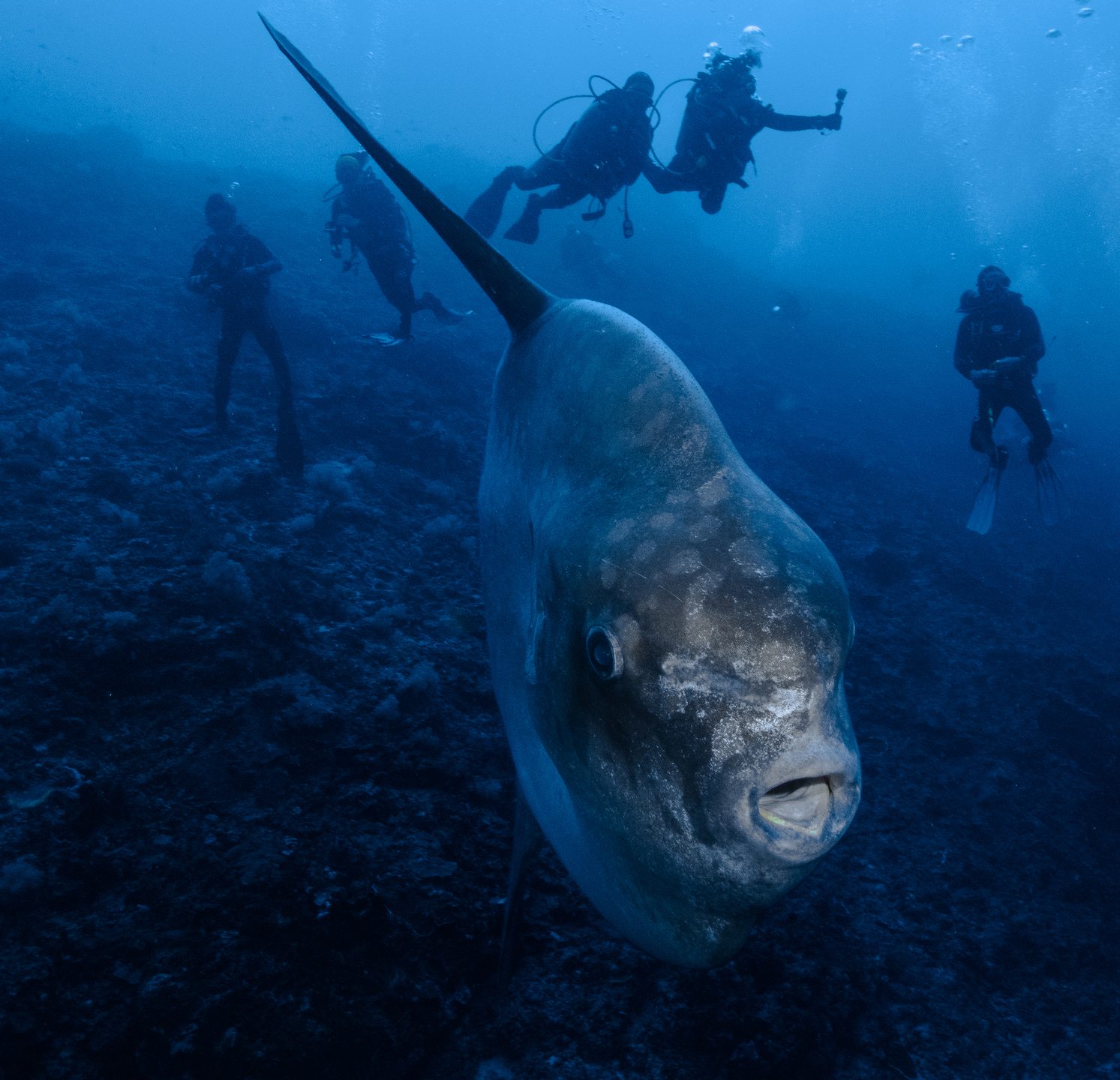 Foto del viaje a Indonesia – Bali, Nusa Penida y Komodo