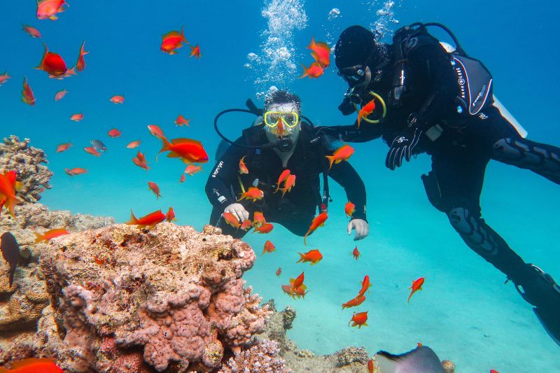 Foto del viaje a Indonesia – Bali, Nusa Penida y Komodo